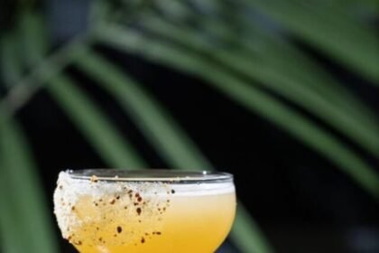 9 Tips for Making a House Cocktail This Thanksgiving